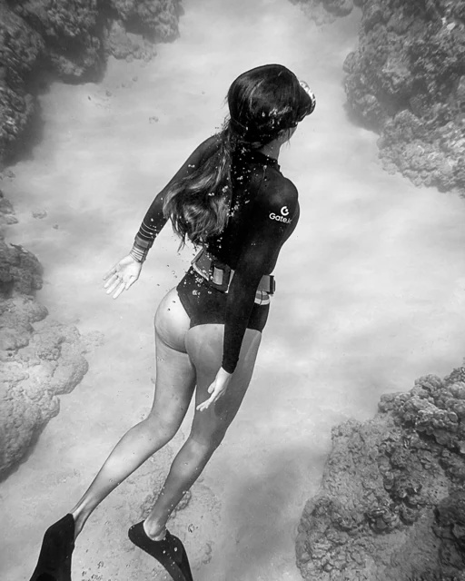 An underwater scene with a diver wearing a Gate branded suit.